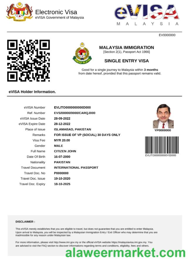 Malaysia e-visa in Word and PDF template